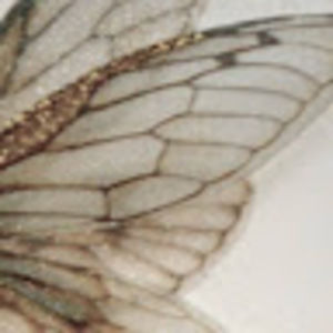 Meet your Posher, Farrah